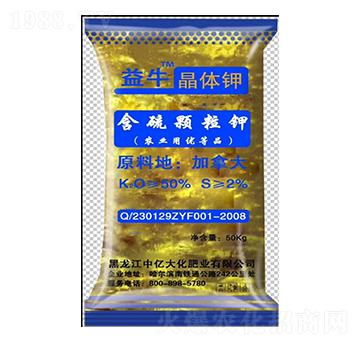 �����w���-��ţ-����