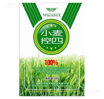 С������-��������