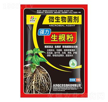 ����������-�ۃ|�r����