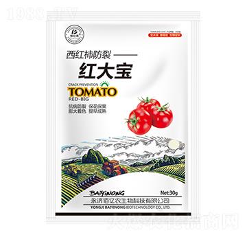 ���t�����Ѽt��-�ۃ|�r����