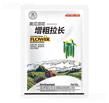 �S��픻��������L-�ۃ|�r����