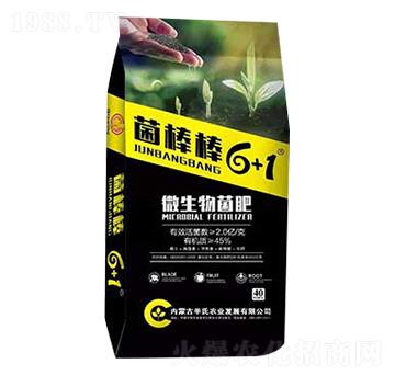 ΢�������-������6+1-����