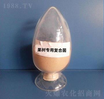 ���䌣�Ï�(f��)�Ͼ����ۄ���-��������