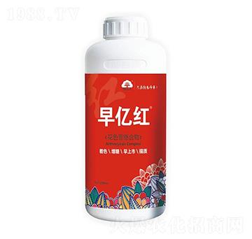 ��|�t-΢�����r(n��ng)�I(y��)