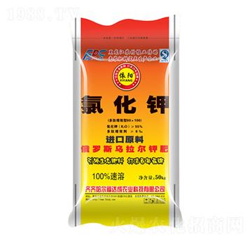 �Ȼ��-���-���_��