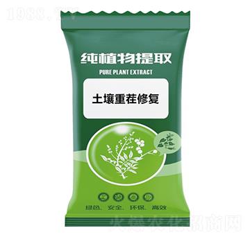 �����ز��ޏ�-ǧ���