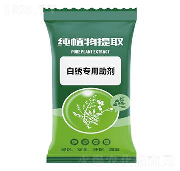 ���P��������-ǧ���