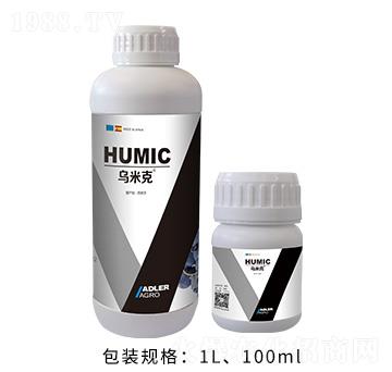 ���׿�-�͂��_