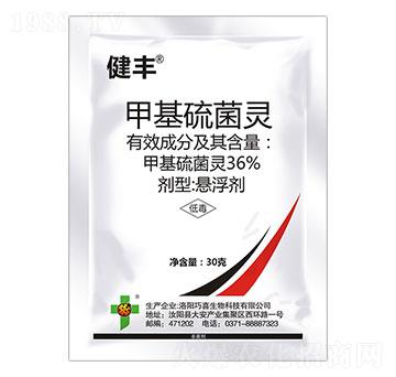 36%�׻�����`-���S-��ϲ����