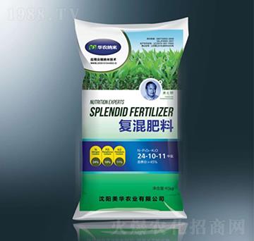 ���׌�(zhu��n)�Ï�(f��)�����24-10-11-���A�{��-���A�r(n��ng)�I(y��)