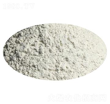 �����ᣨ��������-��S����