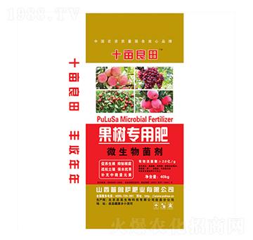 ����(sh��)��(zhu��n)��΢�������-ʮ������-�����_