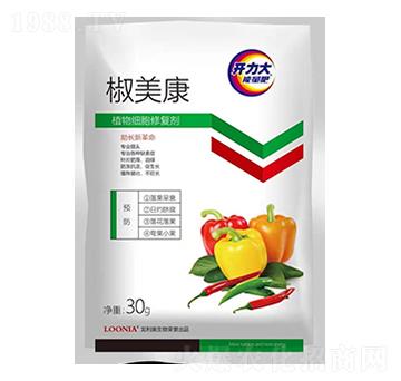 ֲ�：���ޏ̈́�-������-�����W