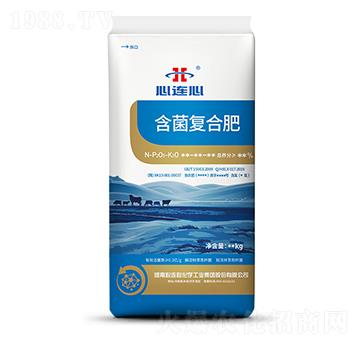 ������(f��)�Ϸ�-���B��