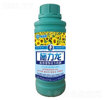 ���������~���-ʩ����