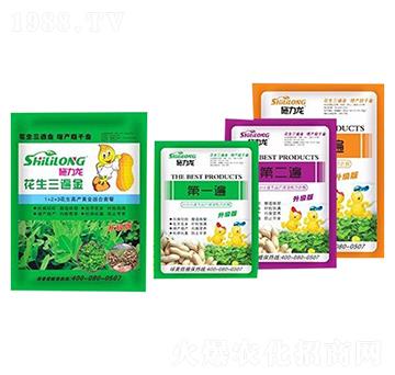 ���������-ʩ����-�G