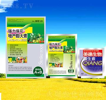 �������a(ch��n)�����-������