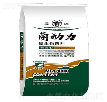 ΢�������-����(d��ng)��-��