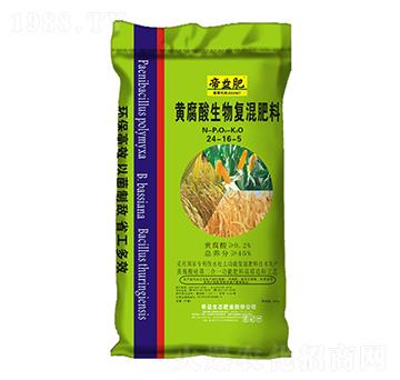 �S���������(f��)�����24-16-5-�����