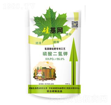 ��������-����W-�����