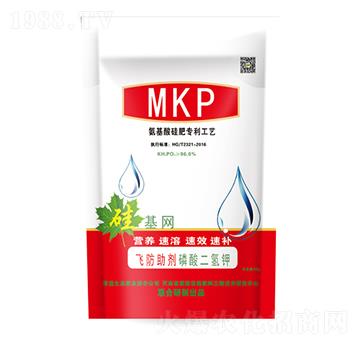 ������w������-����W-�����