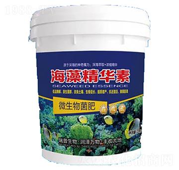 ���徫�A��-��������