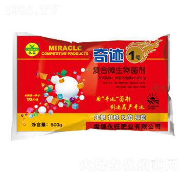 ��(f��)��΢�������-���E1̖(h��o)-�����ʘI(y��)