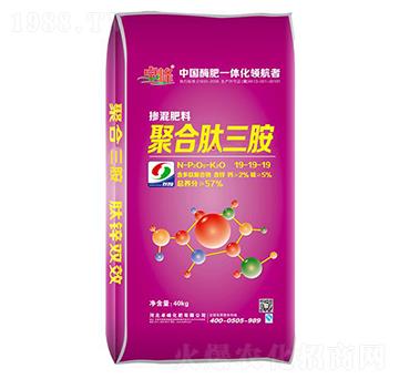 �ۺ��ļ�����������19-19-19-׿��