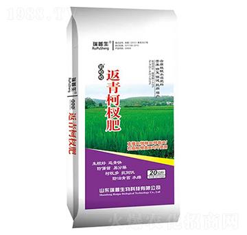 �����辷�-��������