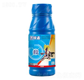 20%���S�����x�Σ�300g��-���Jͨ-ӯ�x