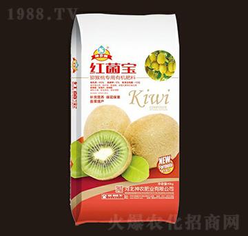 �J���Ҍ����ЙC(j��)����-�t