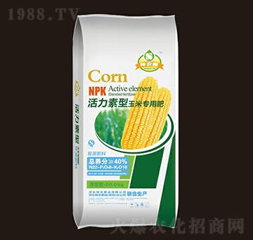 �����������׌��Ï�(f��)���