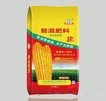 ���׌��Ï�(f��)�����28-