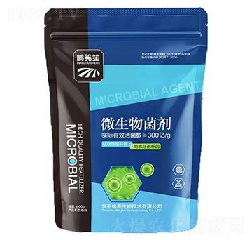 ΢�������-�i����-�̩����