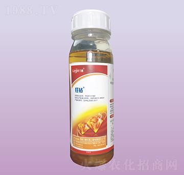 ���@���x��-��������