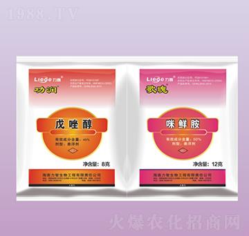 ����+��ꚢ����-��������