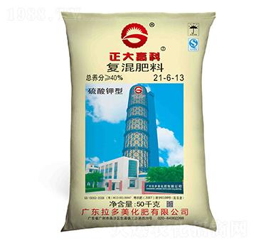 ������͏�(f��)�����21-6-13-����߿�-������