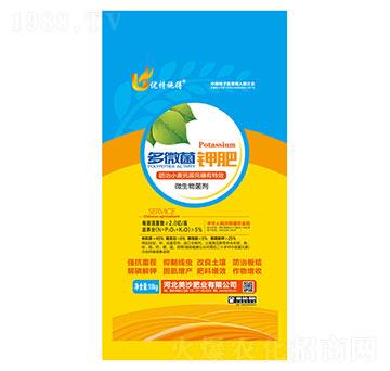 ��΢��⛷�-���_(d��)�ʘI(y��)