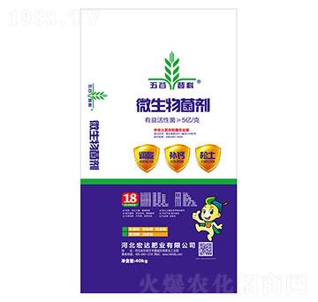 ΢�������-���_(d��)�ʘI(y��)