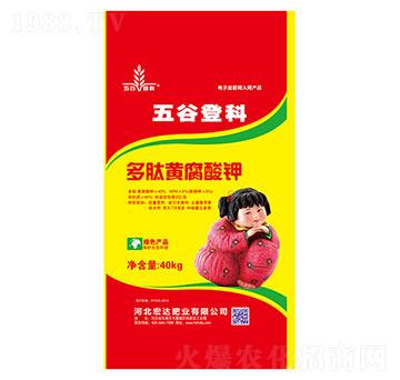 �����S�����-���_(d��)�ʘI(y��)