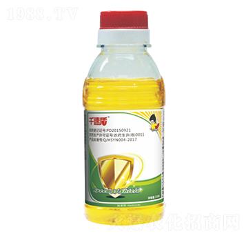 32.4%���ᡤ�ݸ��-ǧ�ٶ�-ӯ�x