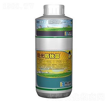 31%���f�����ݰ�+24%����������-�Թ⵾�︻-ӯ�x