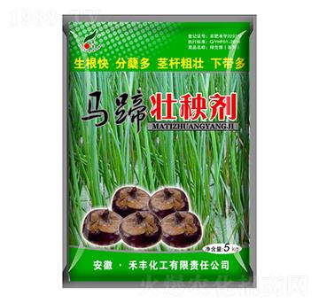 �R����턩-���S