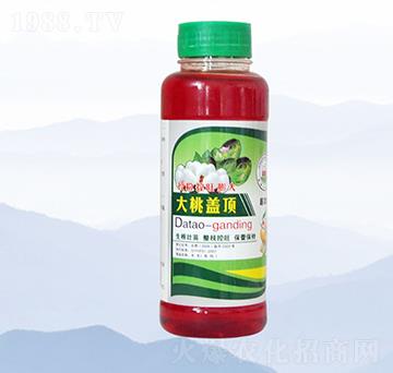 �����w�-���S