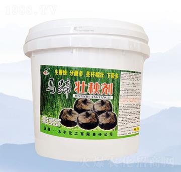 �R����턩��5kg��-���S