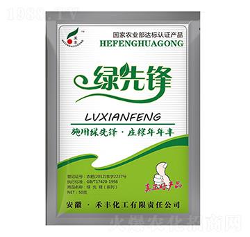 50g�G���h-���S