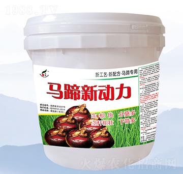 �R����(d��ng)��-���S