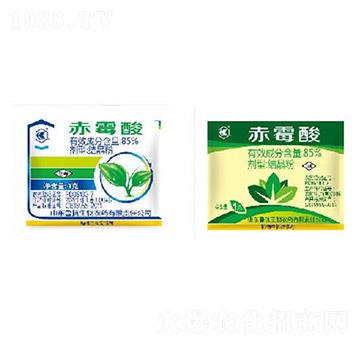 85%��ù��Y(ji��)����-��