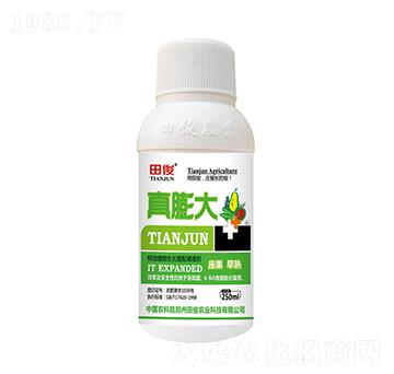 ֲ�����L(zh��ng)��(f��)���{(di��o)�턩-�����-�￡�ʘI(y��)