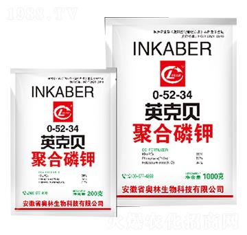 �ۺ����0-52-34